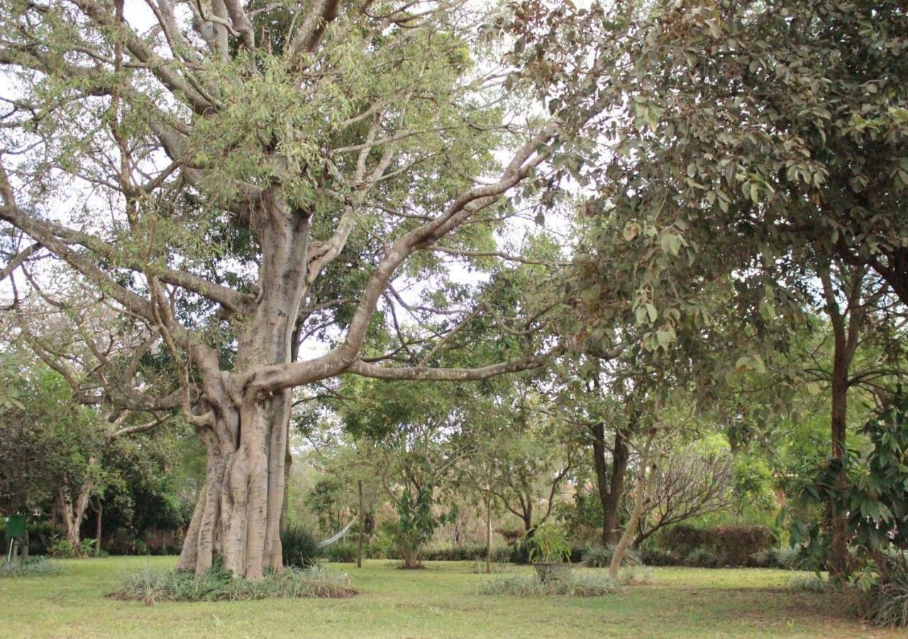 Barefoot Lodge And Safaris - Malawi Lilongwe Buitenkant foto
